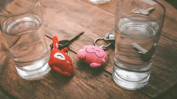 保姆日记 相关产品