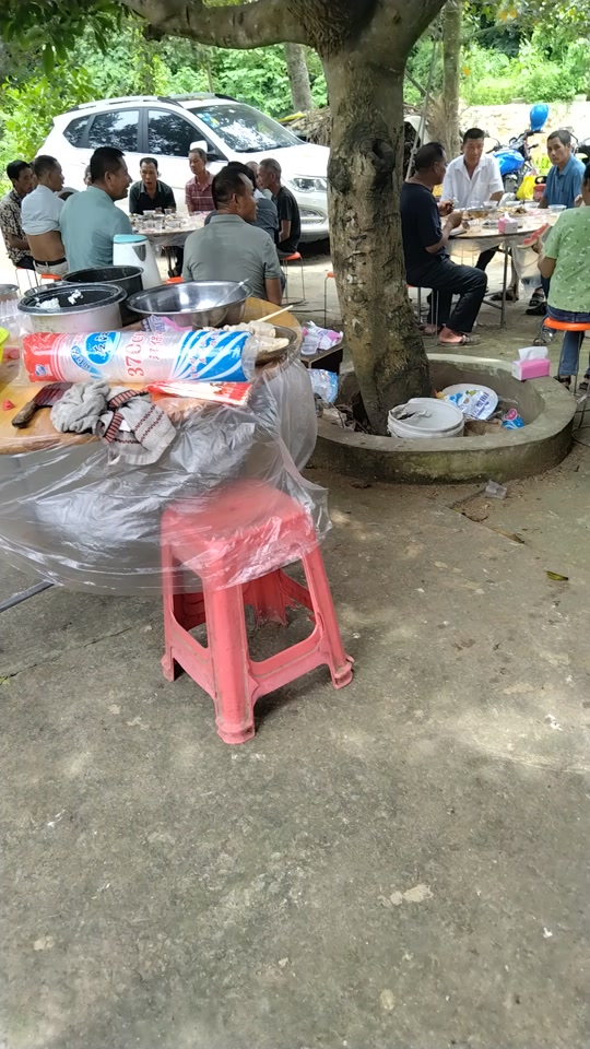 依莉丝 推荐产品