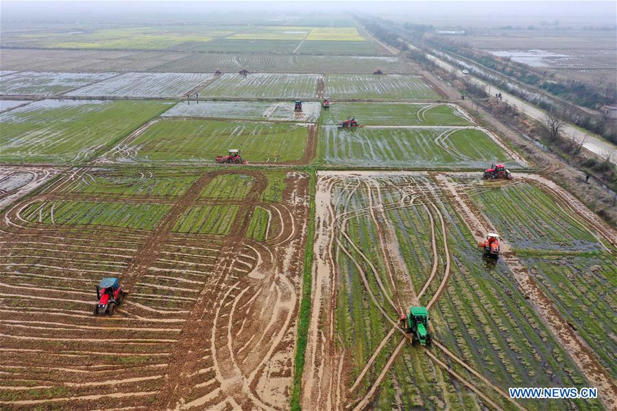 你的怪物 产品图片