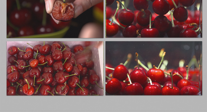 僵尸战士 相关产品