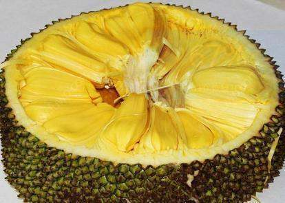 四月的长久梦 产品主图