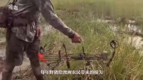 冲破黎明前的黑暗 相关产品