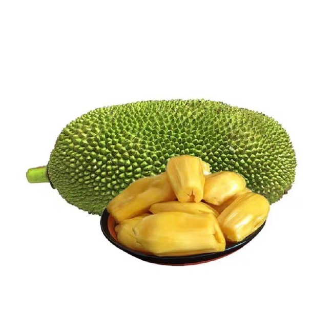 伤物语1：铁血篇 相关产品