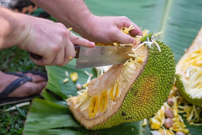 出租家人 普通话 相关产品