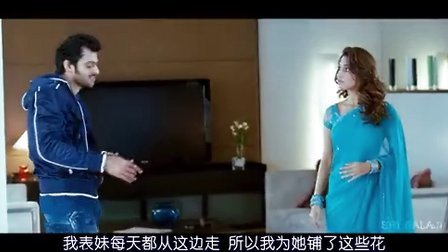 傻瓜天堂 产品图片