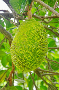 假装看不见之电影大师 相关产品