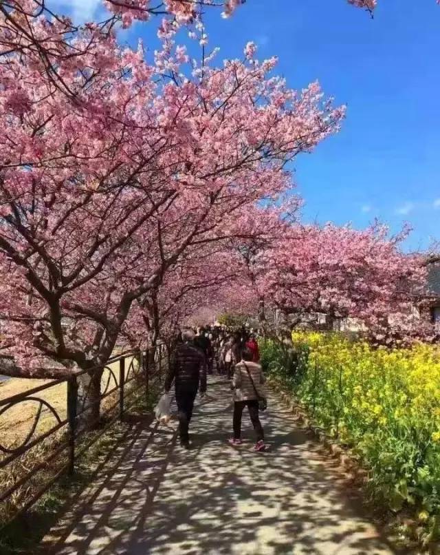 停尸房收藏 相关产品