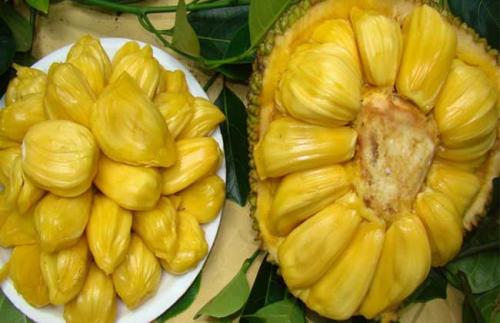 偷情先生 相关产品