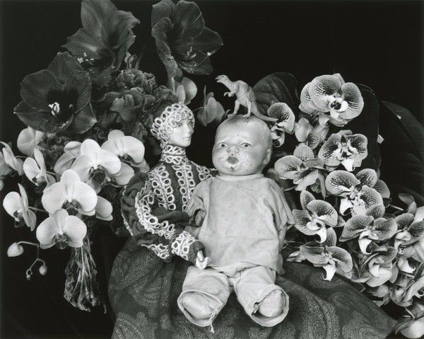 伊斯梅尔 产品图片