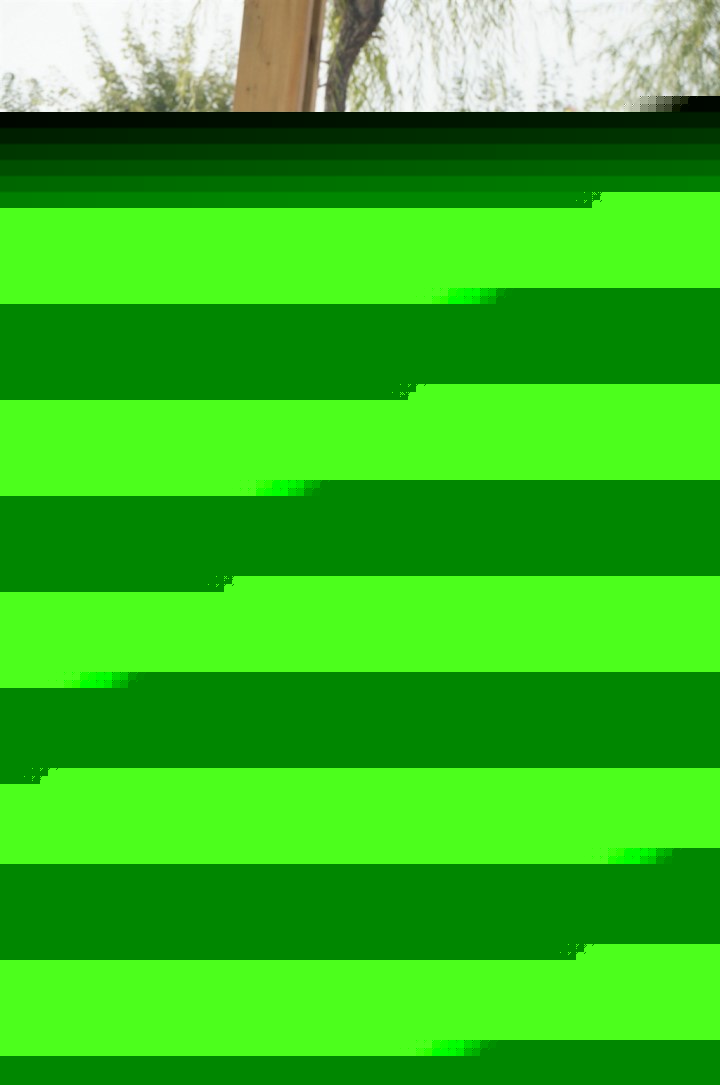 圣诞老人和我 相关产品