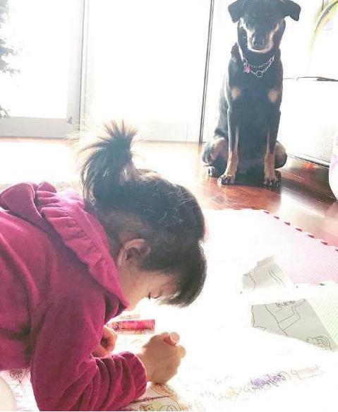 代码危机 相关产品