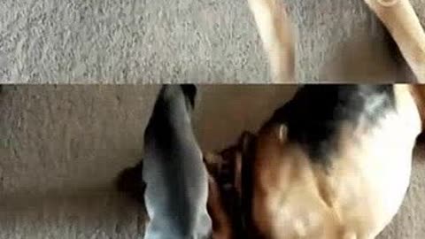 决胜21点 21 相关产品