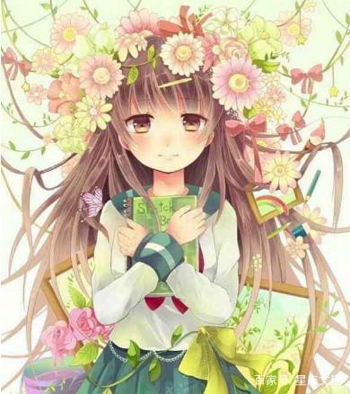 傲慢与善良 相关产品