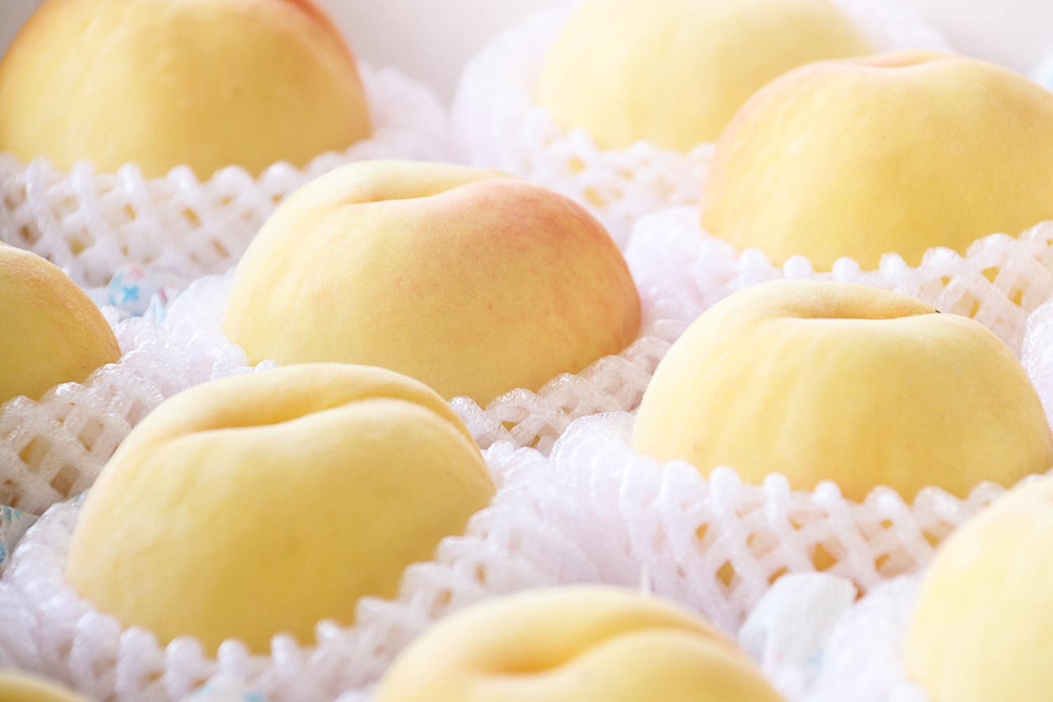 偷情先生 相关产品