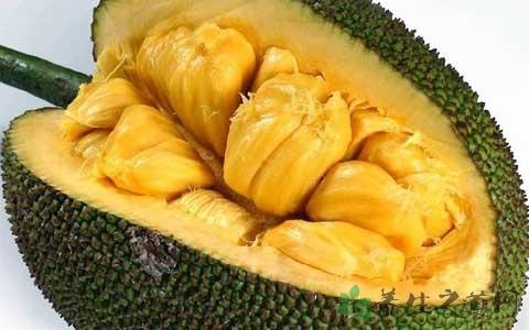 停尸房收藏 相关产品