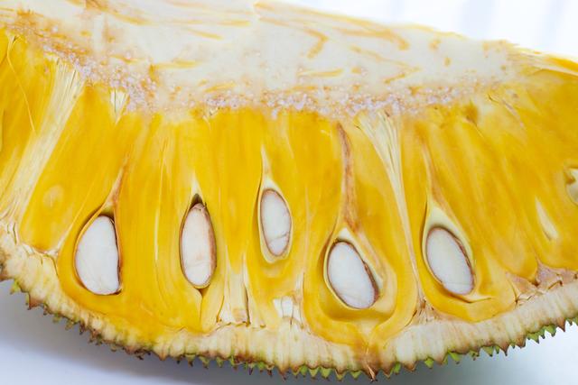 伯纳黛特你去了哪 相关产品