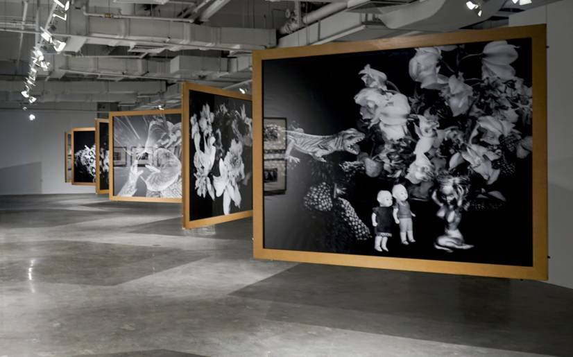 僵尸再翻生 相关产品