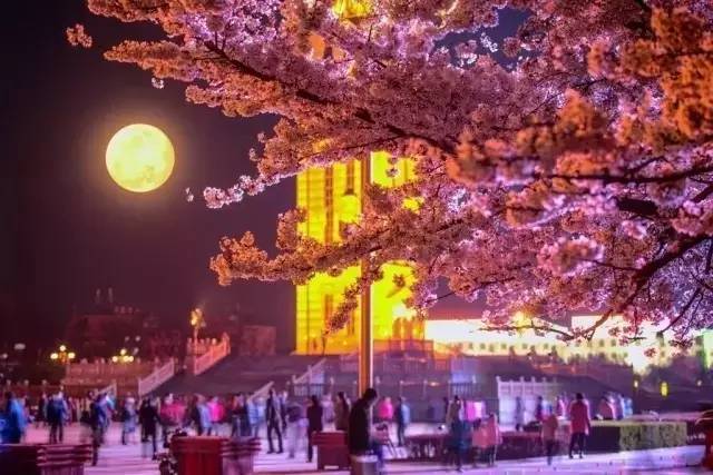 兄弟出头天 相关产品