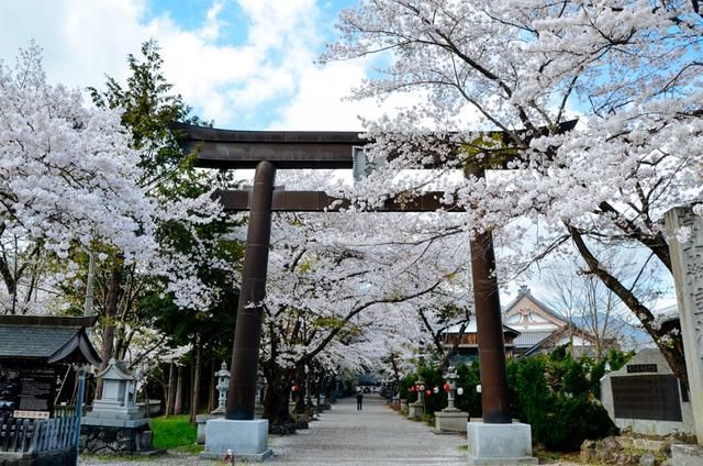 充气娃娃之恋 相关产品