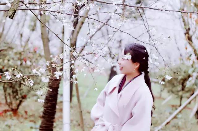 傀儡姬 相关产品