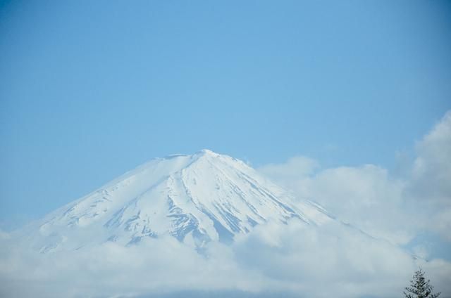 仙剑伏魔：倩女玄姬 产品图片