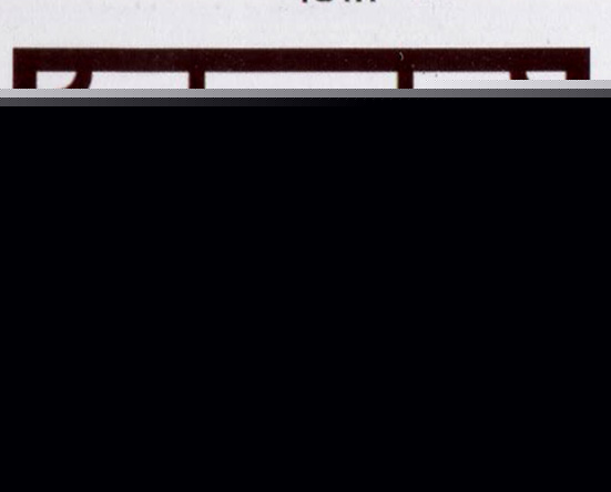 保镖2011 相关产品