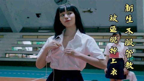 佐治亚州风暴 产品图片