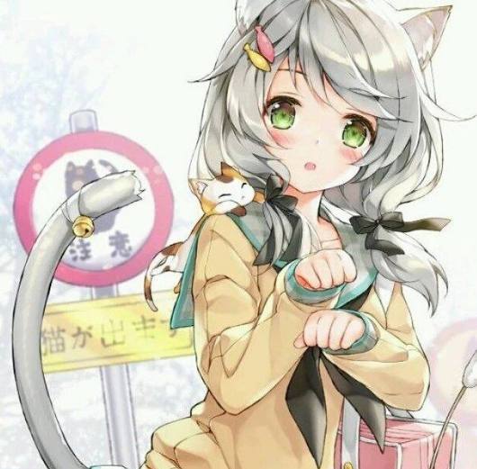 四大神兽外传 相关产品