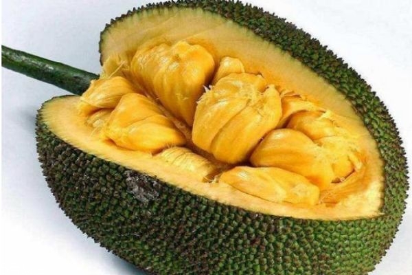 你得来看她 相关产品