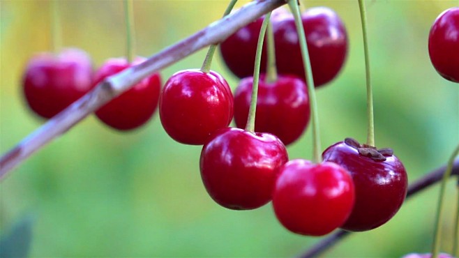 伟大的宽恕 产品图片