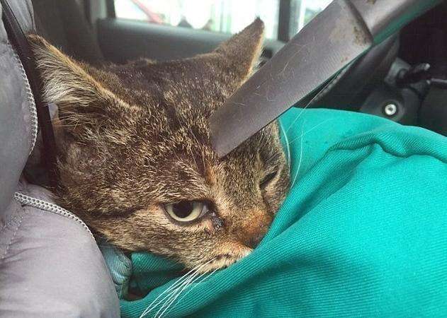 传世乐章 相关产品