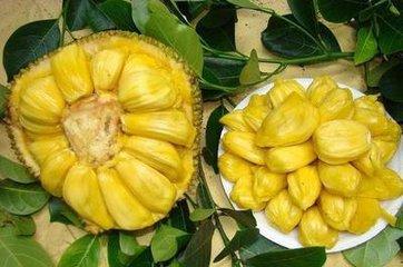 上海滩大亨 产品主图