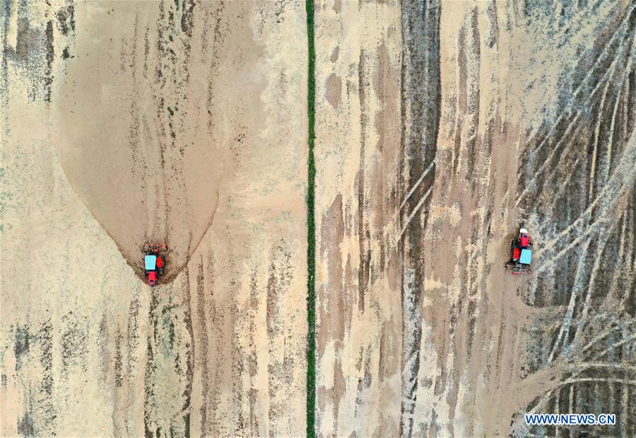 你是我的命运 产品图片