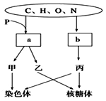 倚天屠龙记之九阳神功（国语版） 相关产品