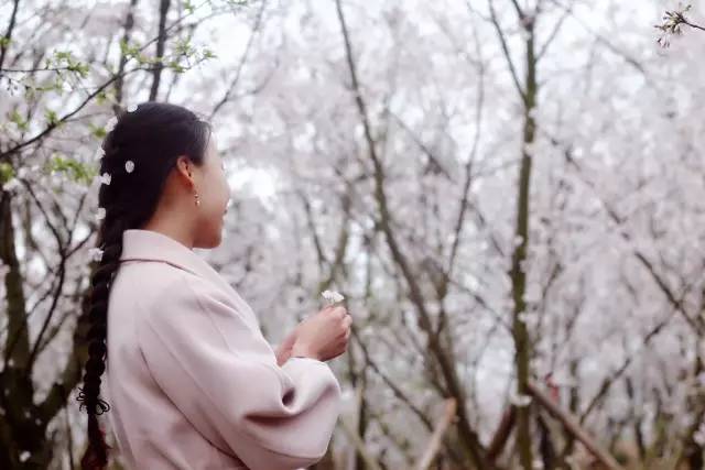 企鹅公路 产品图片