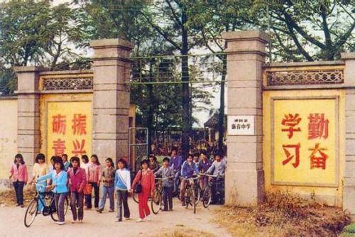 冷血悍将 相关产品