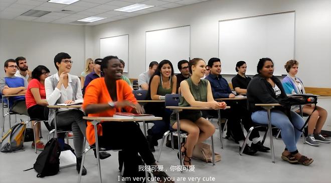 傻瓜天堂 产品图片