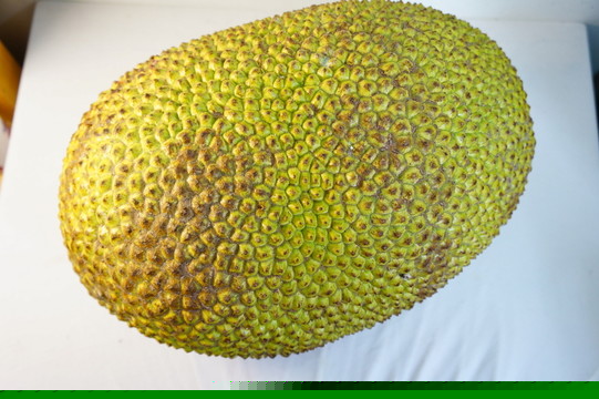 仙鹤戏狐妖 相关产品