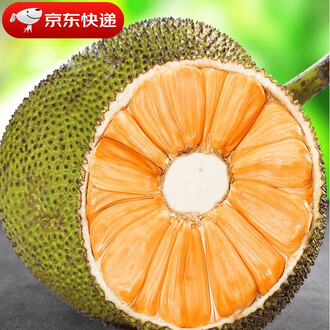 命运／冠位指定 终局特异点 冠位时间神殿所罗门 相关产品