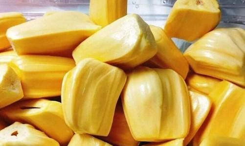 假日总动员 相关产品