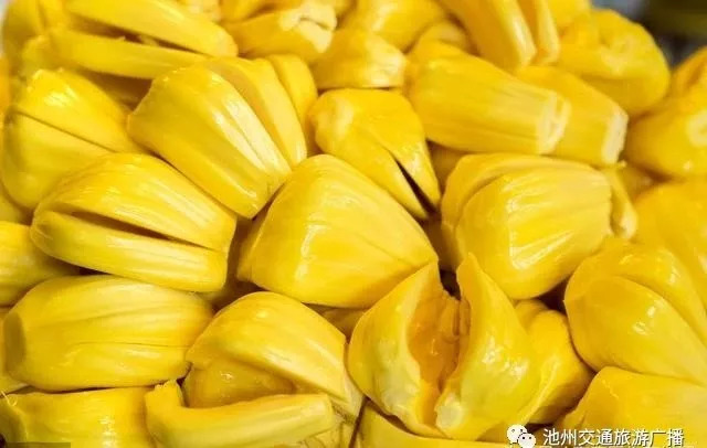 优雅的世界（上部） 产品图片