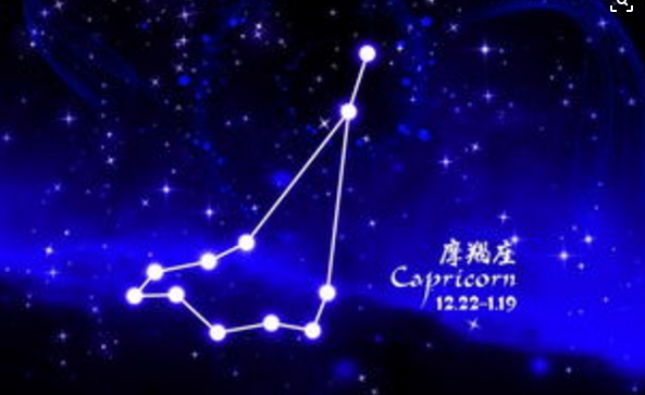 企鹅公路 相关产品