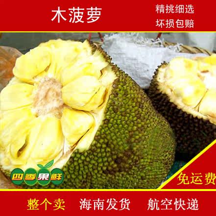 国家要案 相关产品