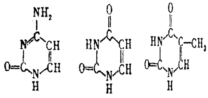 伏妖·诛魔镜（粤语） 相关产品