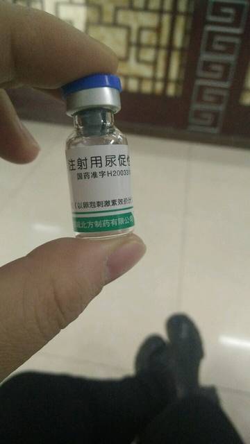 任性的硬币 相关产品