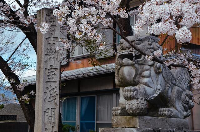 向天真的女生投降 相关产品