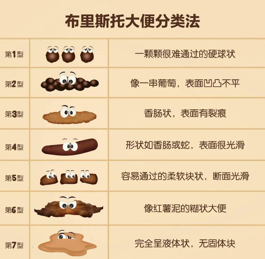 住在空中 相关产品