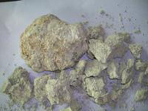 何去何从 产品主图