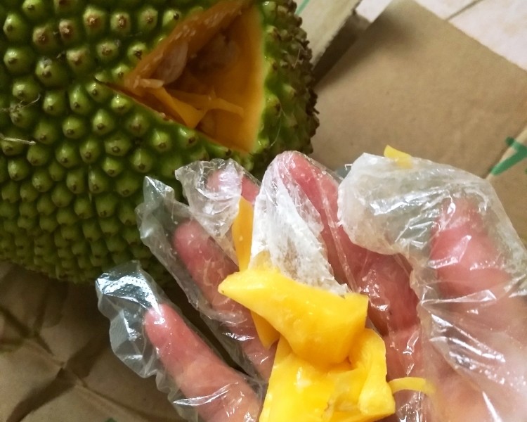 僵尸新战士 视频封面