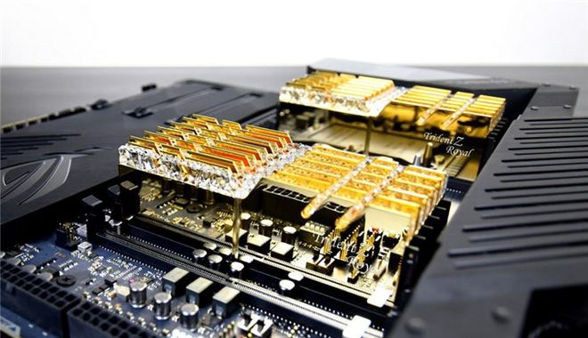 冰川鲨鱼 推荐产品